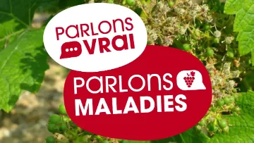 maladies